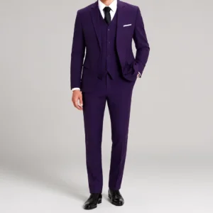 Plain Elegant Three Piece Purple Suit
